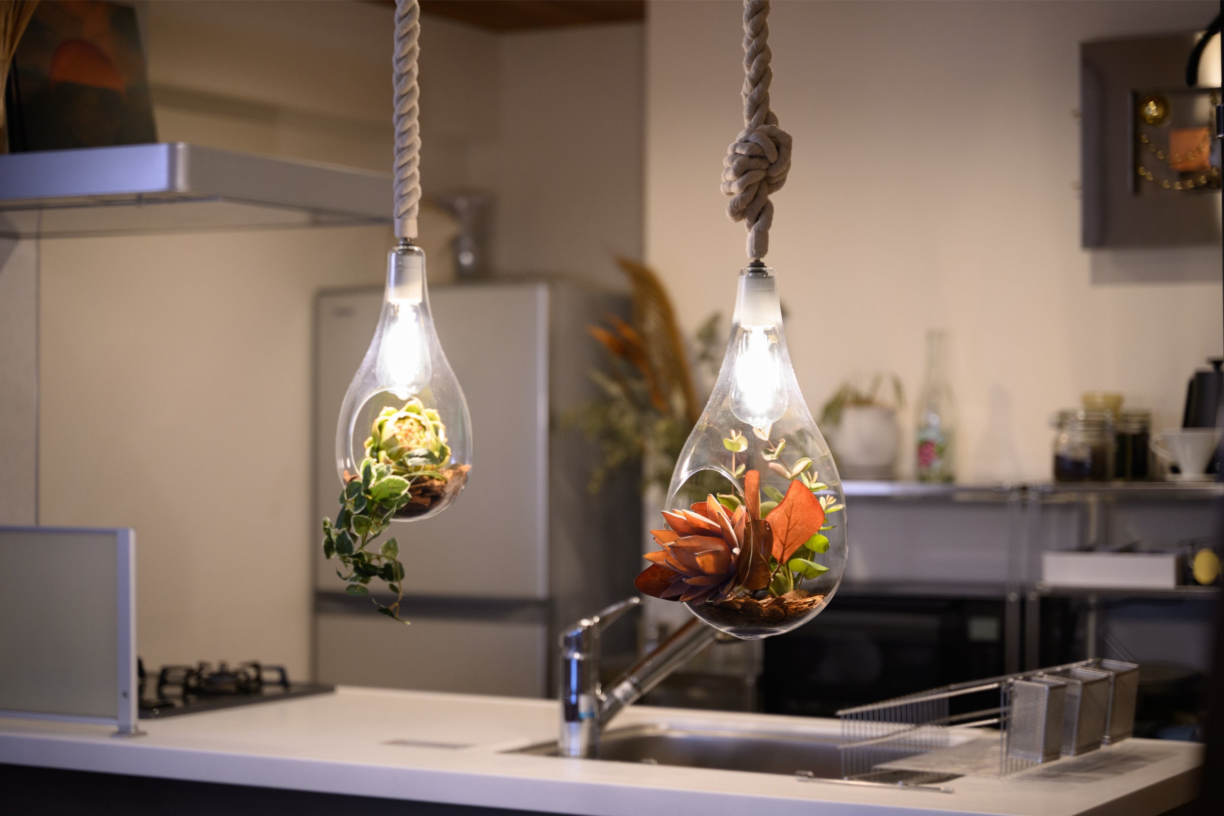 BOTANIC HANGING LIGHT ボタニックハンギングライト4個セット BOTANIC