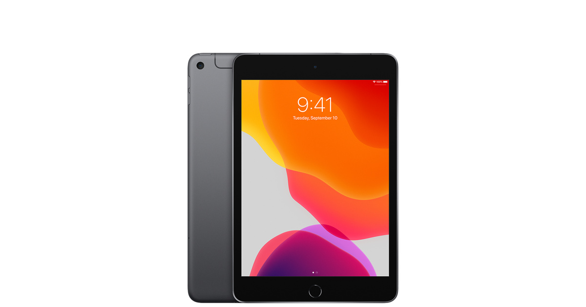 iPad mini 5 Wi-Fi + Cellular 256GB - スペースグレイ [整備済製品