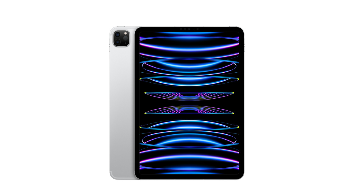 Apple iPadPro M4 11インチ256G Wi-Fi グレー本体 Apple iPad Pro 11