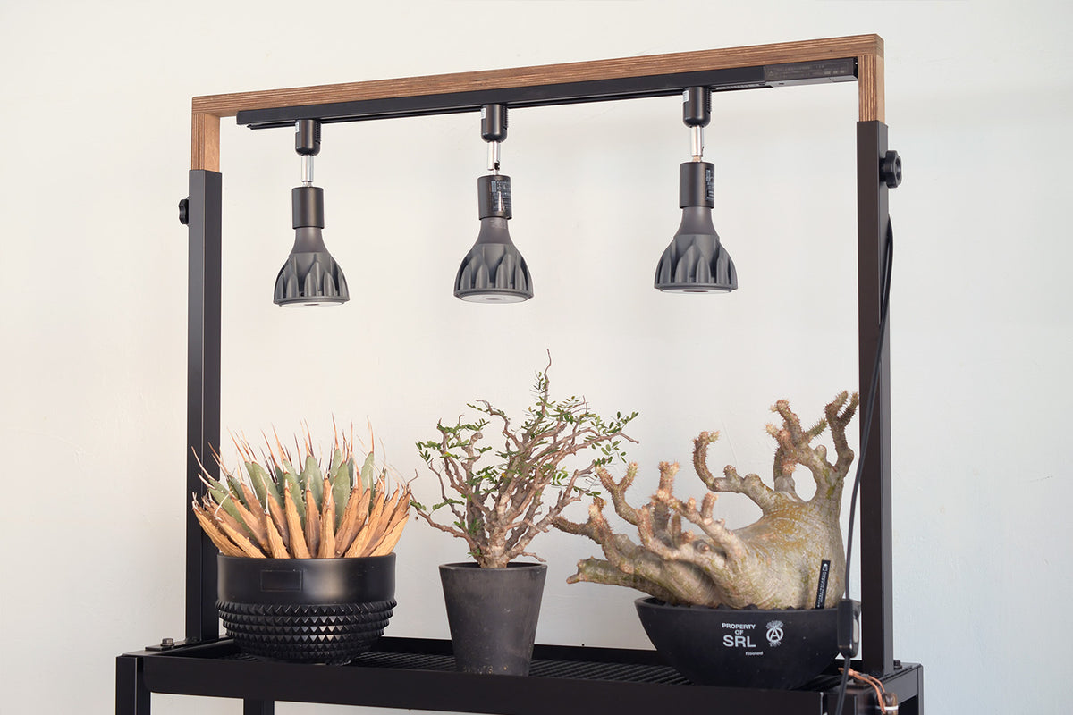 LED 植物ライトセット・ヘリオスグリーン・ブリム• ハルコ HELIOS