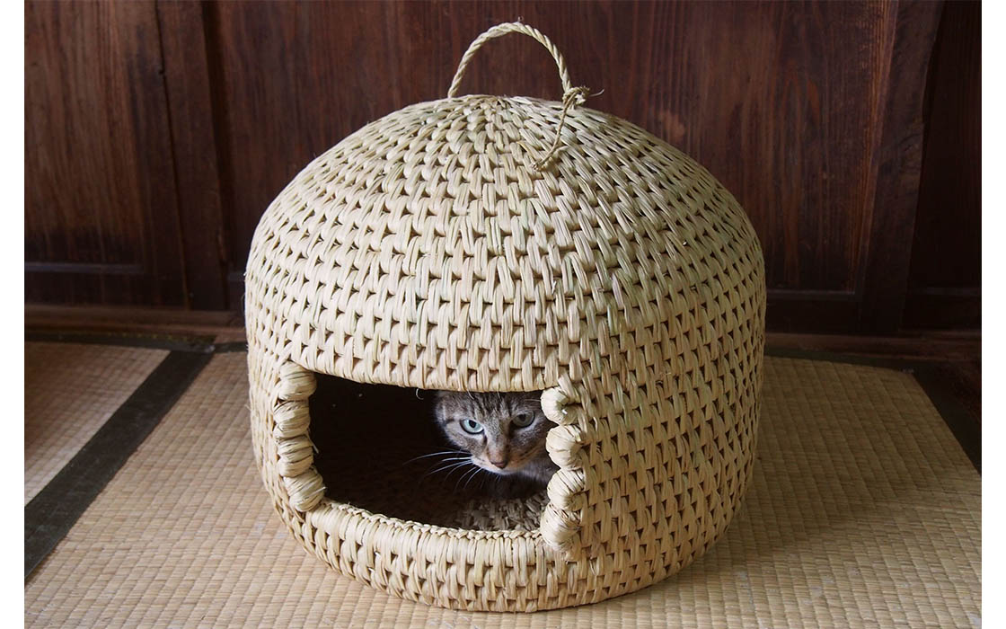 なんとも可愛い猫つぐら。雪国生まれの買える手仕事 | 中川政七商店の