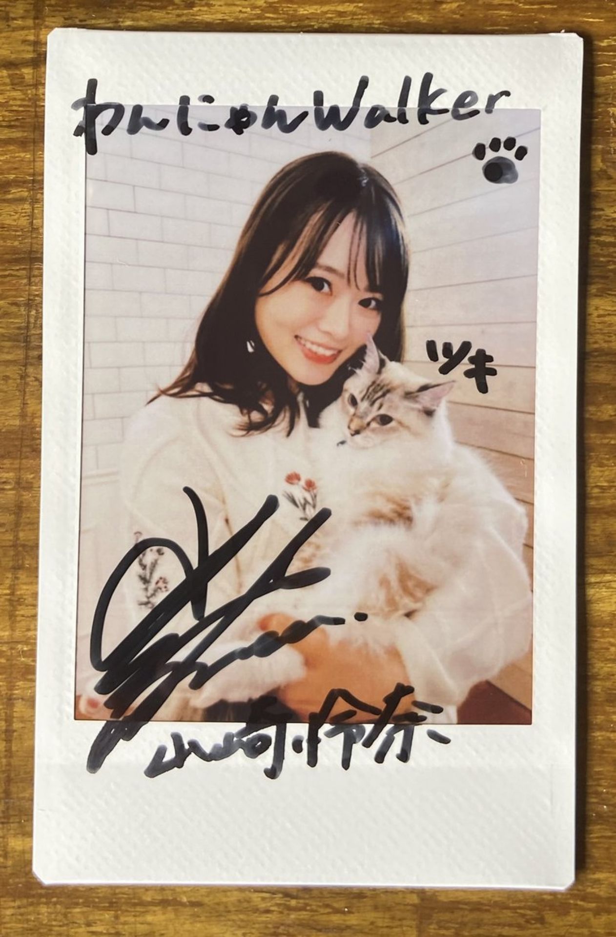 REDLINE・coldrain直筆サイン入り ＆ 再録 Amazon.co.jp: ?? coldrain