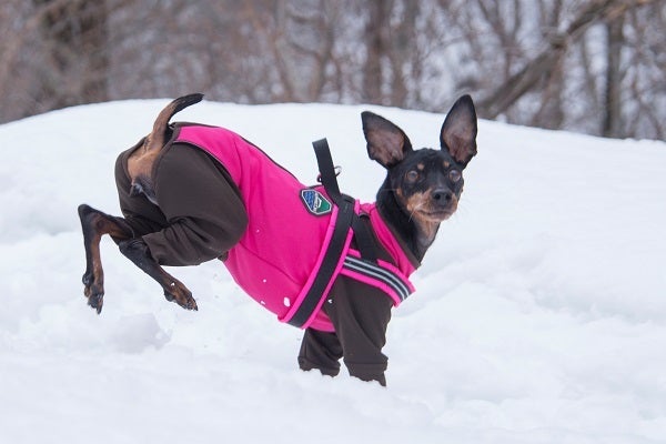 ALPHAICON AIR LINER エアライナー アルファアイコン 新商品情報】AIR