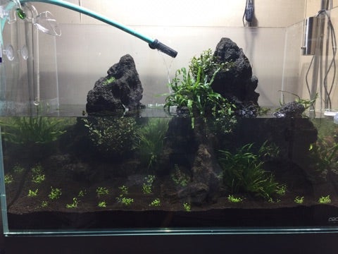 17-05-166リセット④ | hayabusaX