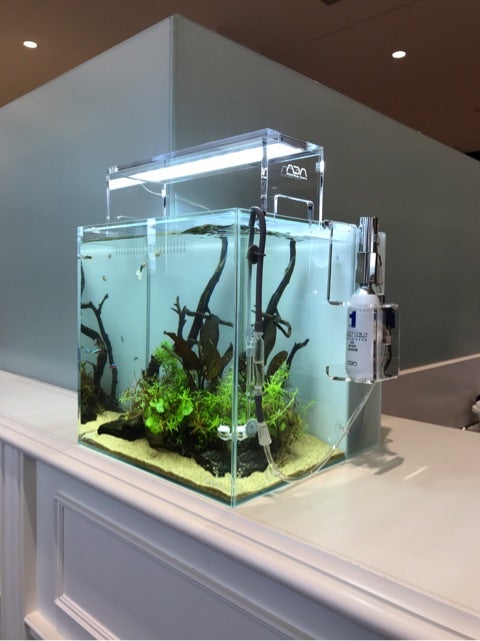 ADAシステムアクア30