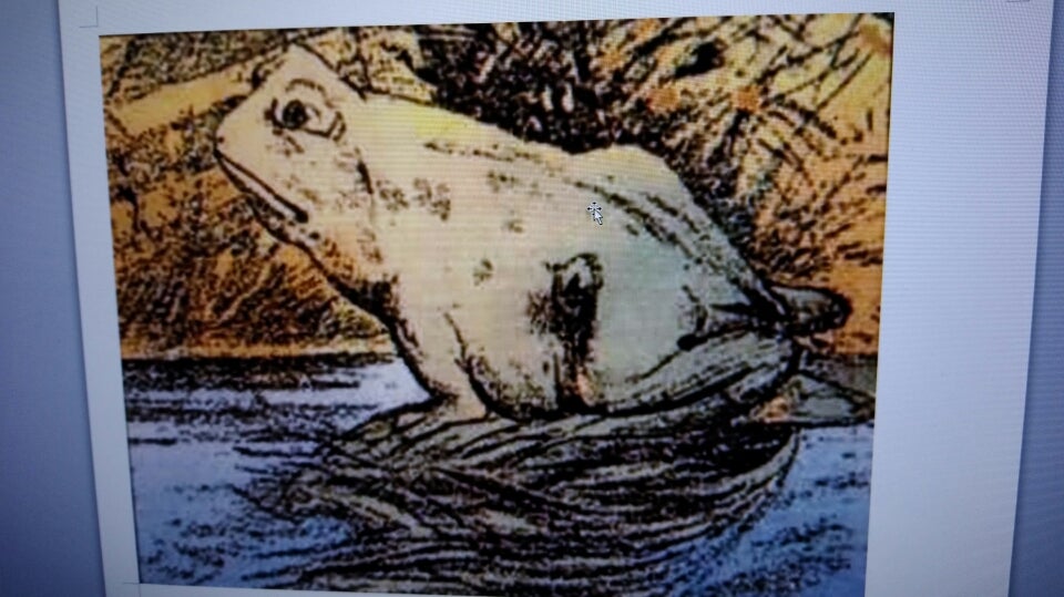 だまし絵シアターカエルの絵に 隠れているのは❔ | ピッコロの気まぐれ