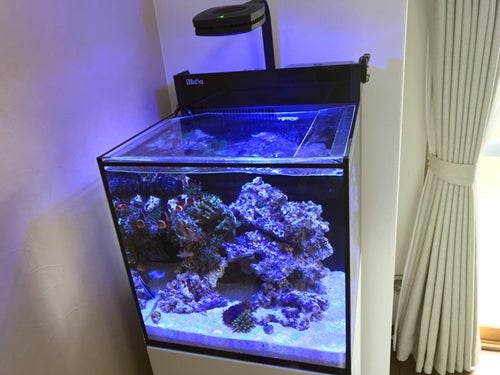 レッドシー リーファー マックス ナノ 引取限定 引取限定 REDSEA MAX