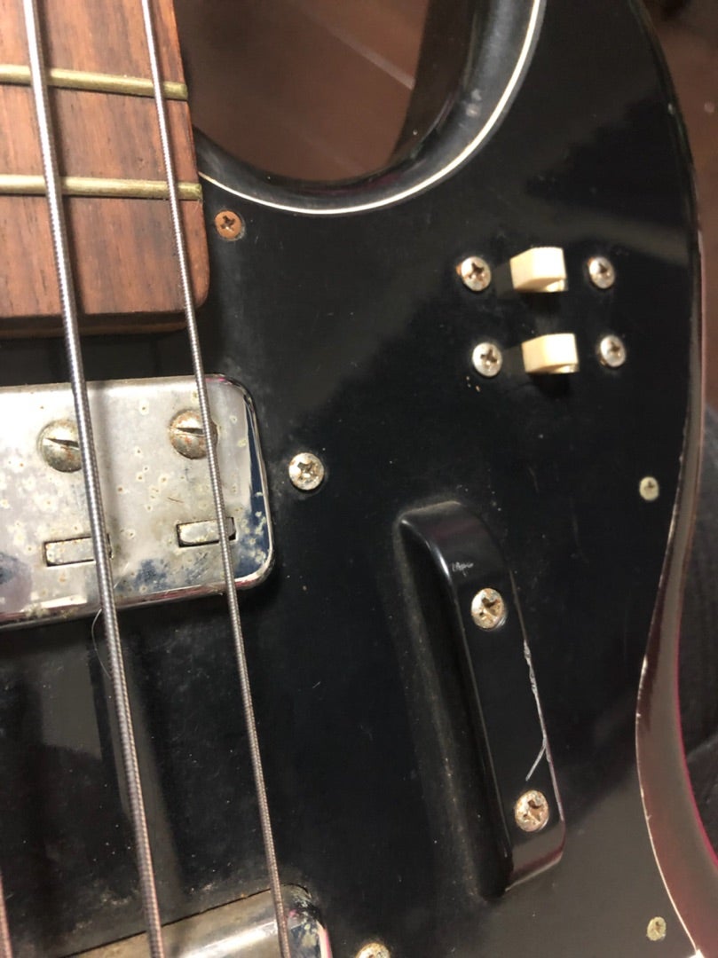 TRUMPのビザールベース・1 | 好きに勝手にいろんな楽器