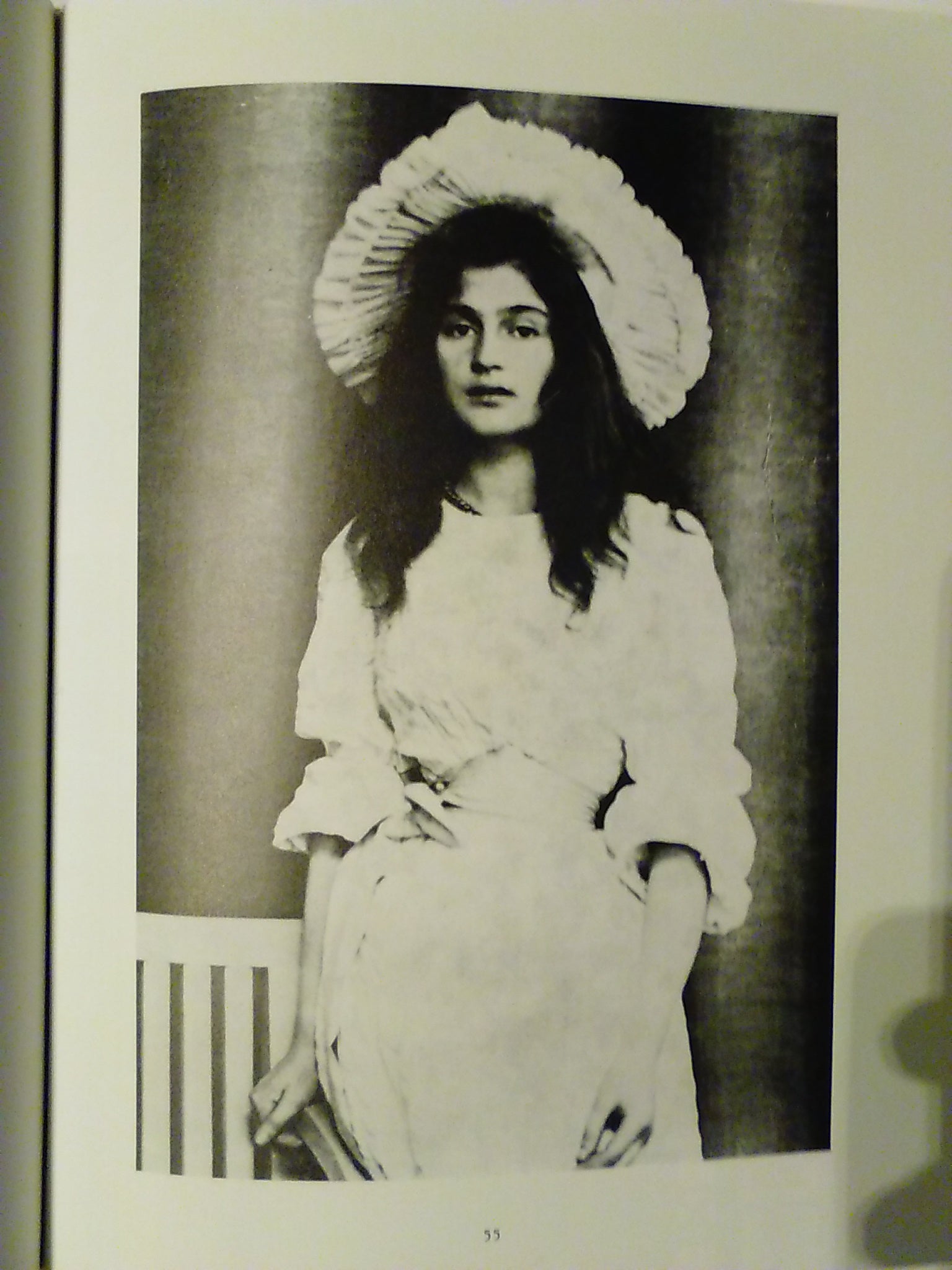 印象派の人びと（ジュリー・マネの日記）を入手しました！ | 身近な