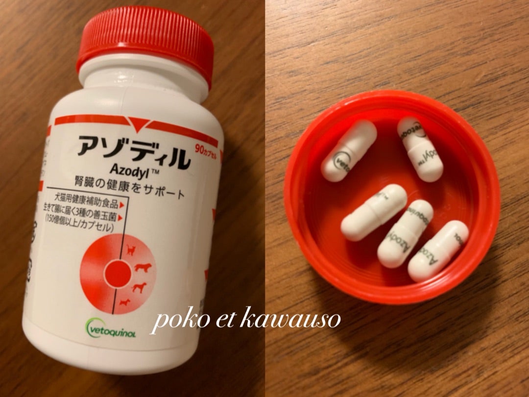 アゾディル Azodyl 90カプセル アゾディル 腎臓の健康をサポート 犬猫