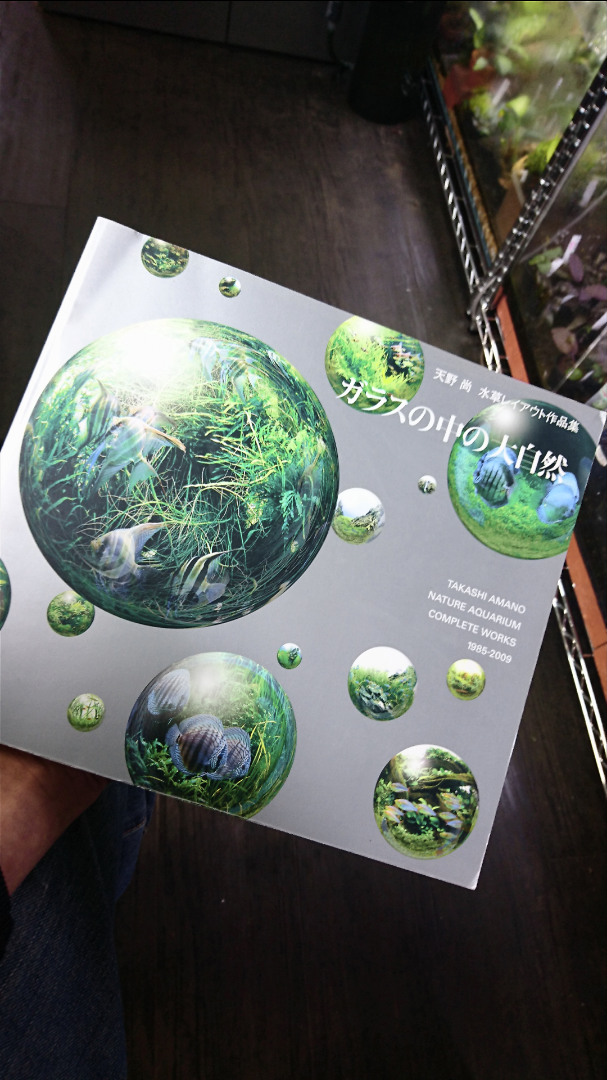 ガラスの中の大自然 | ワイルド☆スターズ10-2ブログ