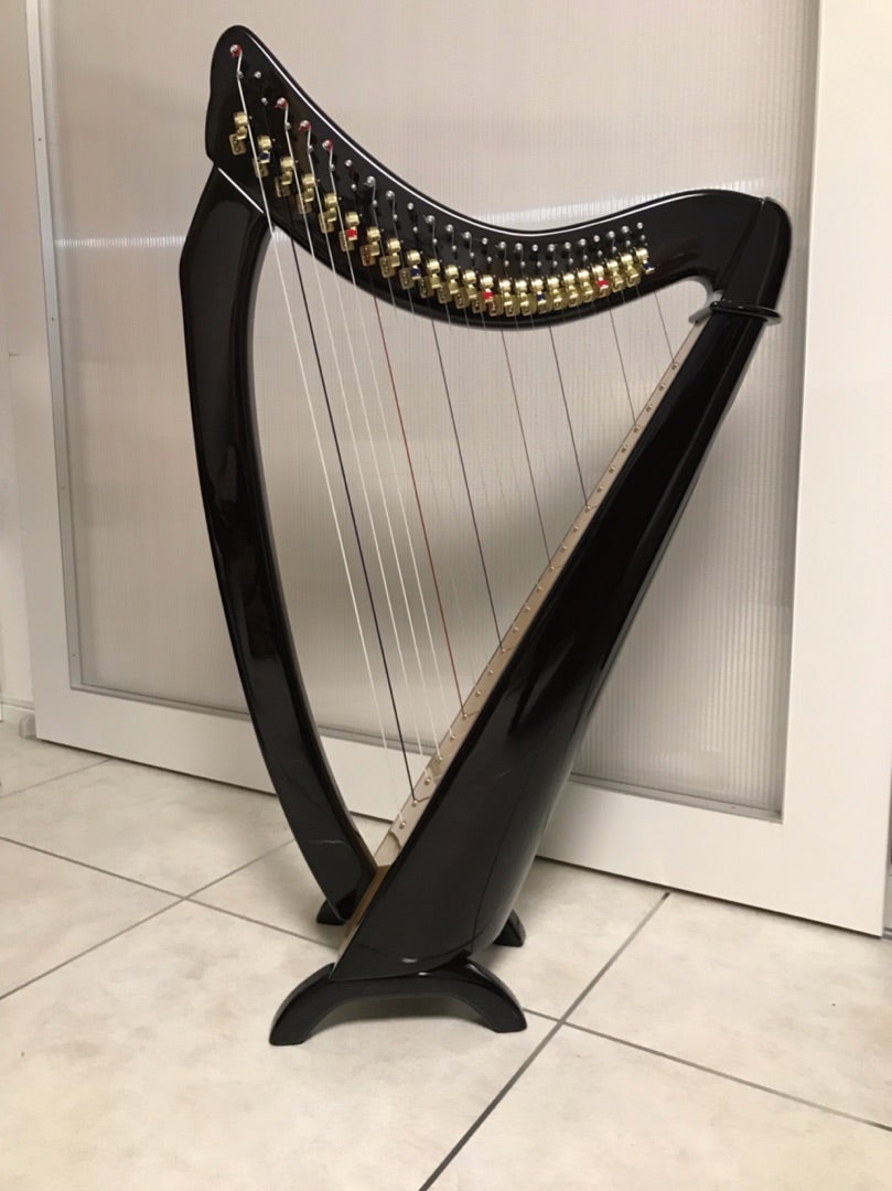 沙羅ハープ 23弦 入荷しました♪ | 大阪・奈良 ヴォイストレーニング