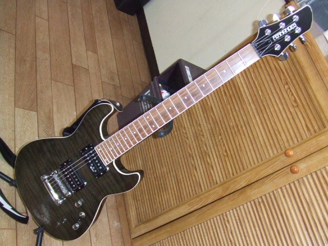 自慢できないギター～Fernandes APG-55S～ | チャリコ✩デラックス