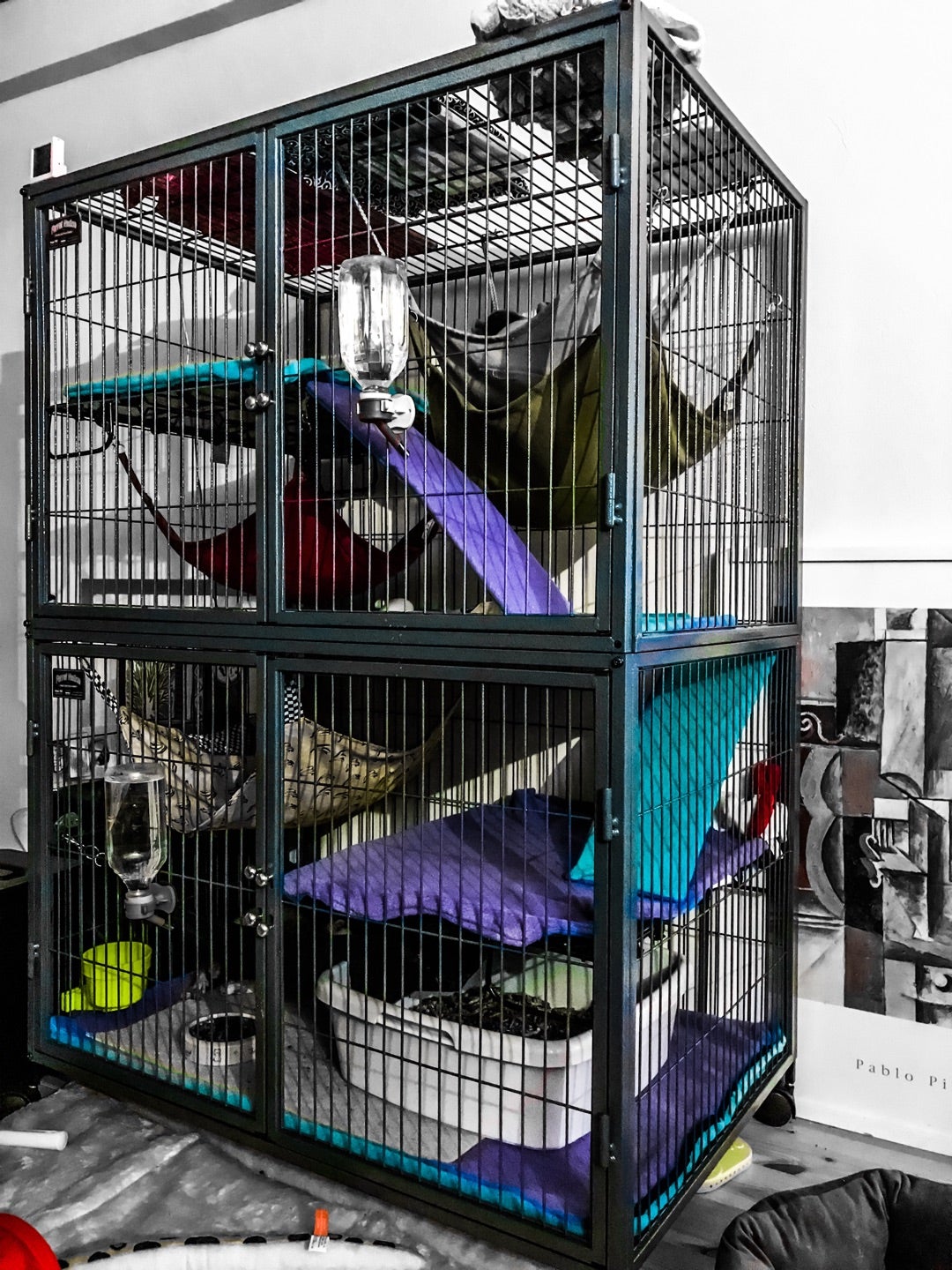 メディカル60+ルーフ