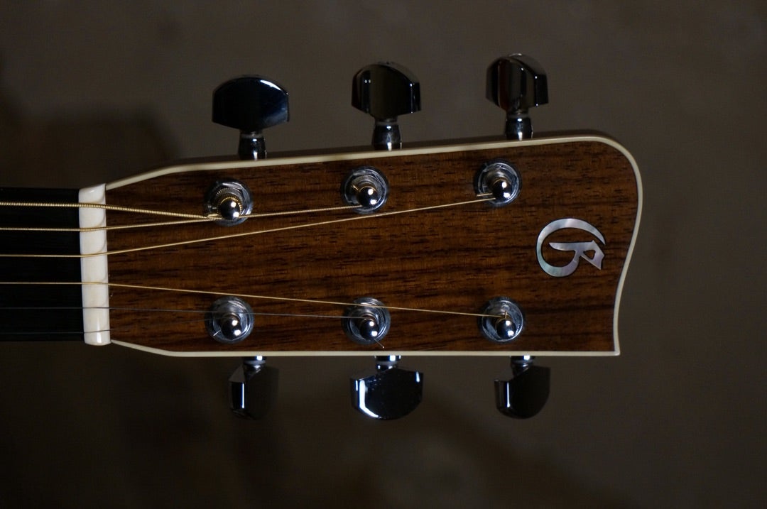 楽器紹介】正体不明？！謎のエレガット、Gallagher AN2 | そ・こ・の