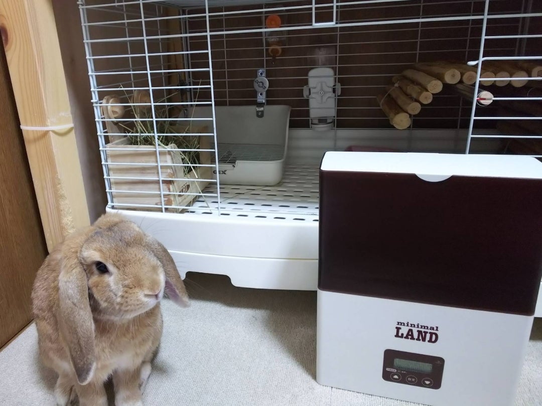 うさぎの安心 自動給餌機 Auto Feeder ML-230 【公式通販】