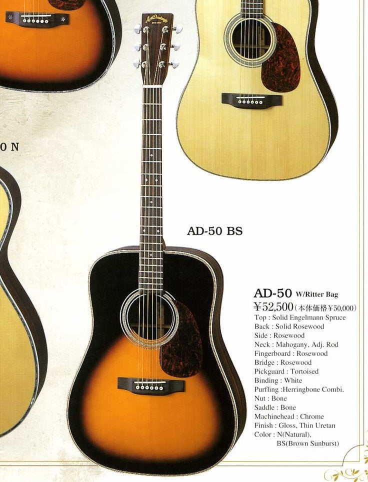 Aria Dreadnought AD-28 RITTERギグバッグ