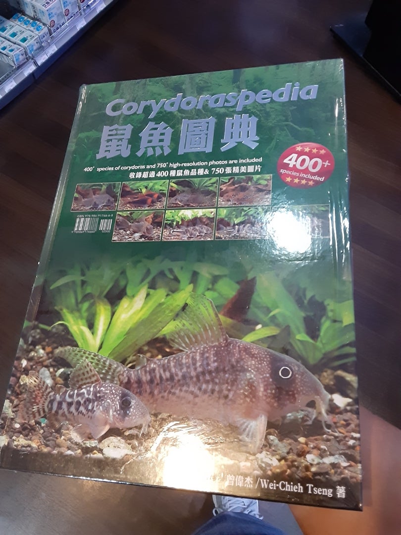 Corydoraspedia コリドラス 図鑑 鼠魚 辞典 Corydoraspedia コリドラス