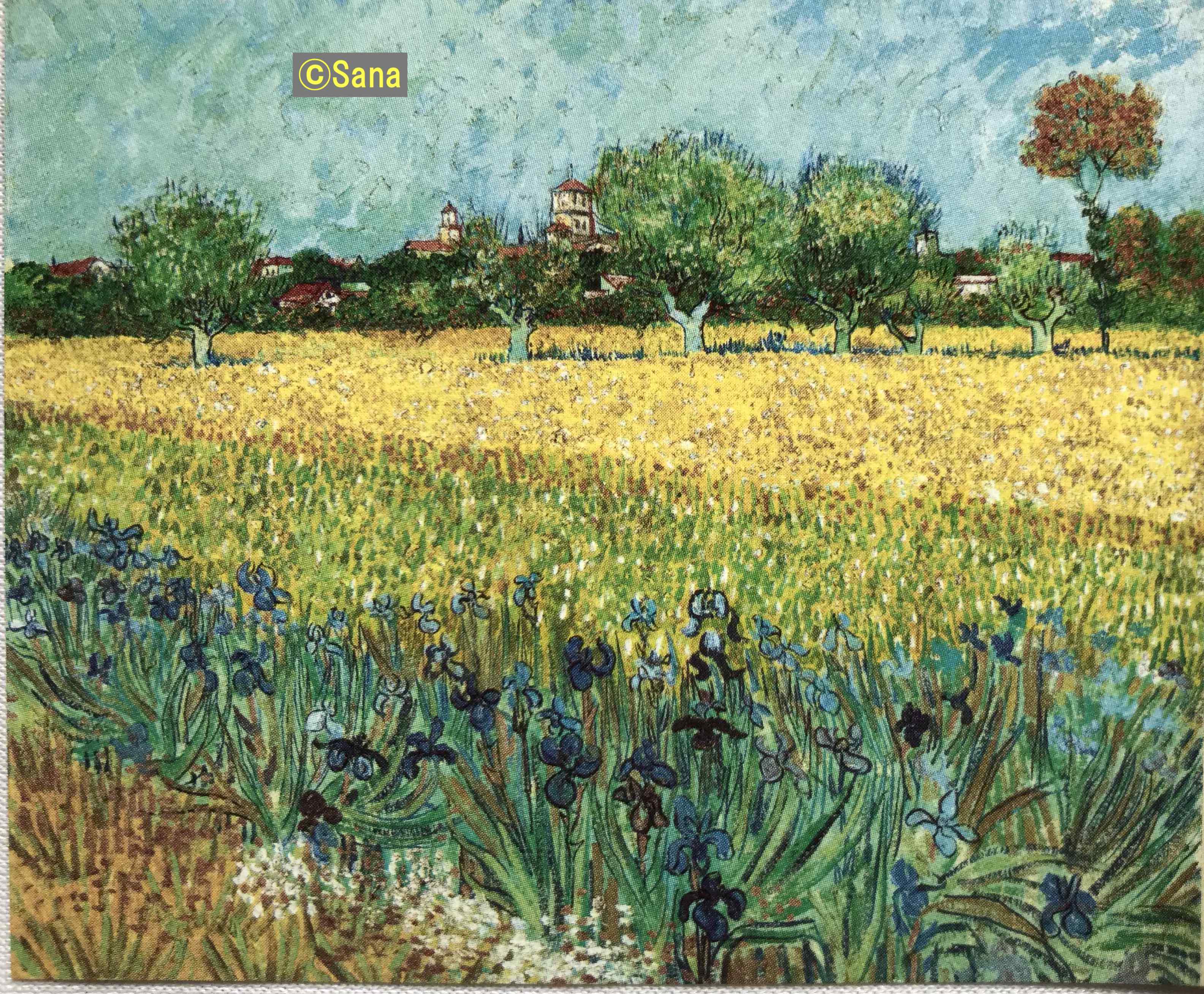 アイリスのある静物[中国のゴッホこと趙小勇作］