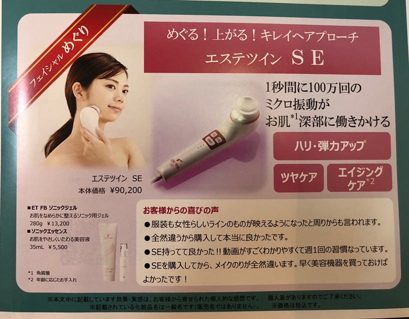 ESTHETWIN SE 美顔器セット ESTHE TWIN SE 美顔器 エステツイン SE