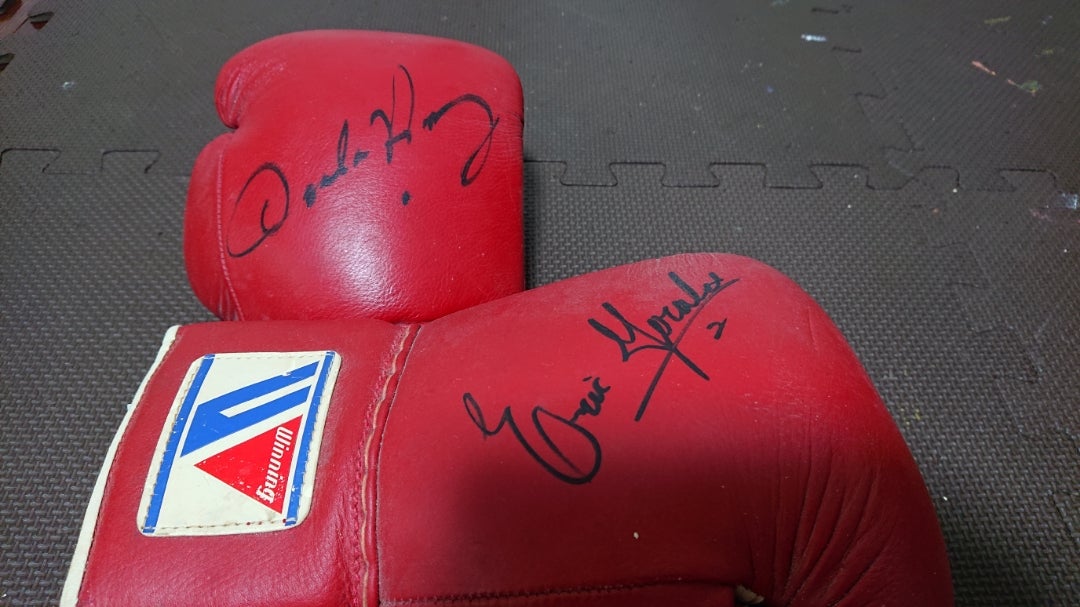 お宝紹介(グローブ編①) | ボクシングライフW