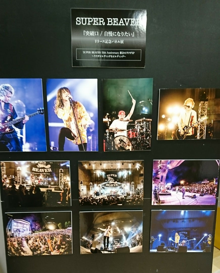 SUPER BEAVER パネル 【公式通販】
