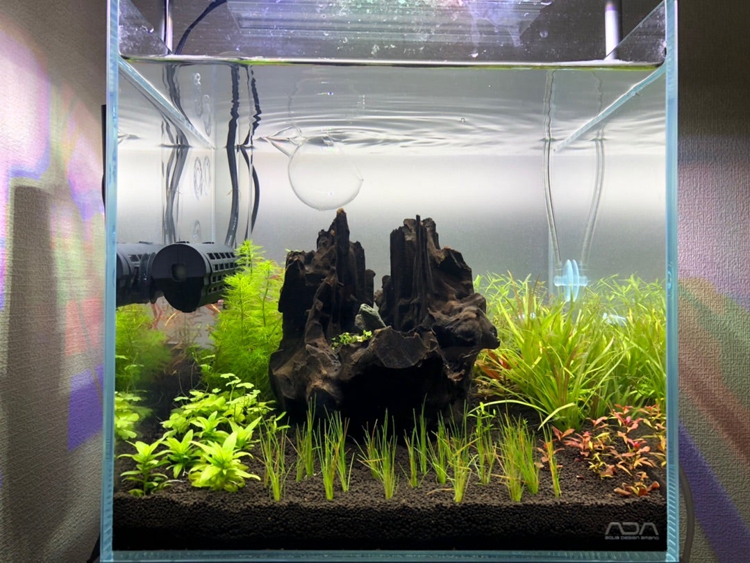 引き取り限定）ADAキューブガーデン60 ＋ライトスクリーン60（ジャンク