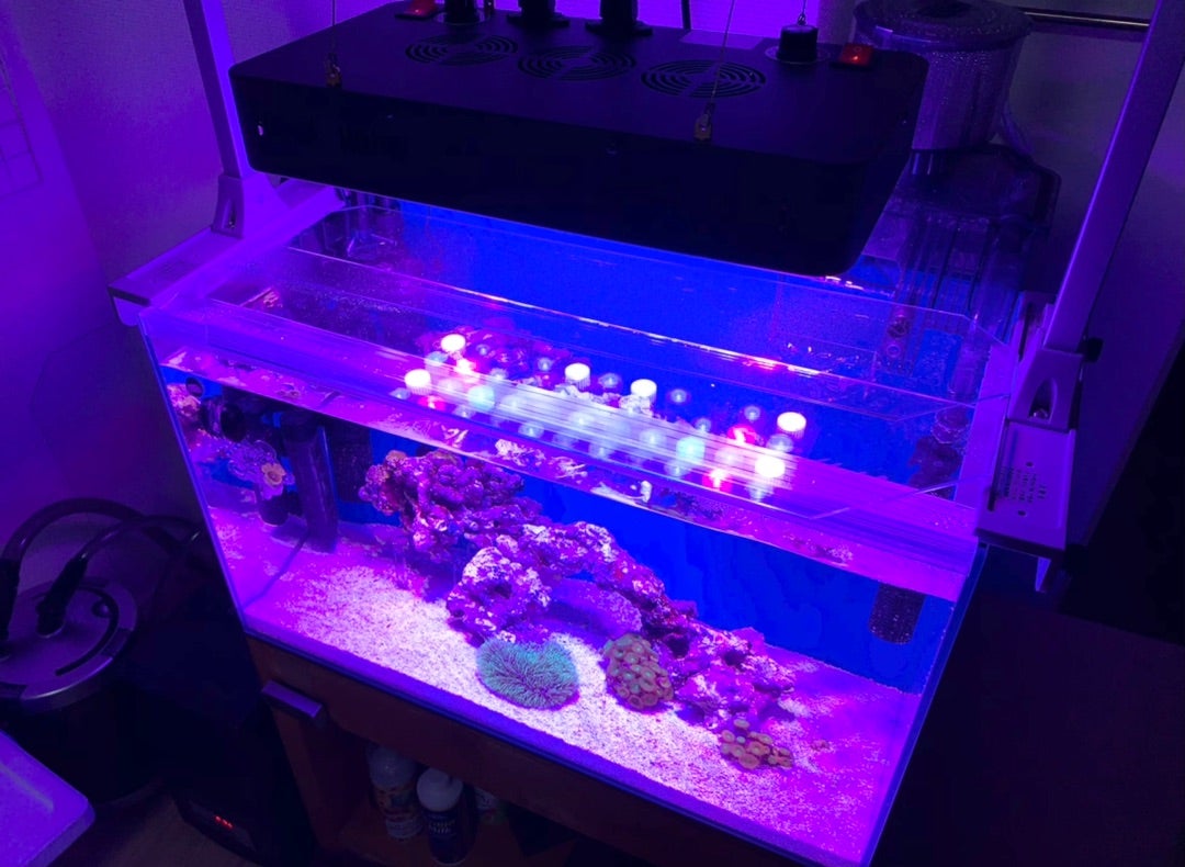 サンゴ水槽に激安のフルスペクトルLEDを導入！中華製 ブラックボックス