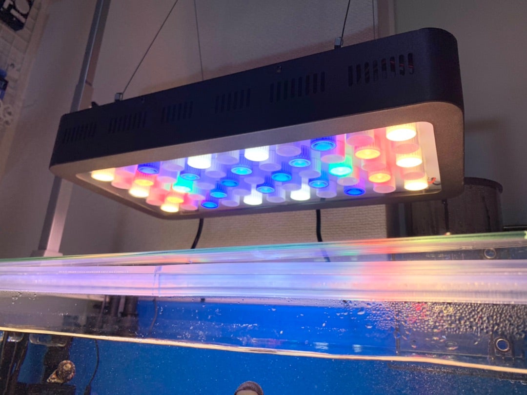 サンゴ水槽に激安のフルスペクトルLEDを導入！中華製 ブラックボックス