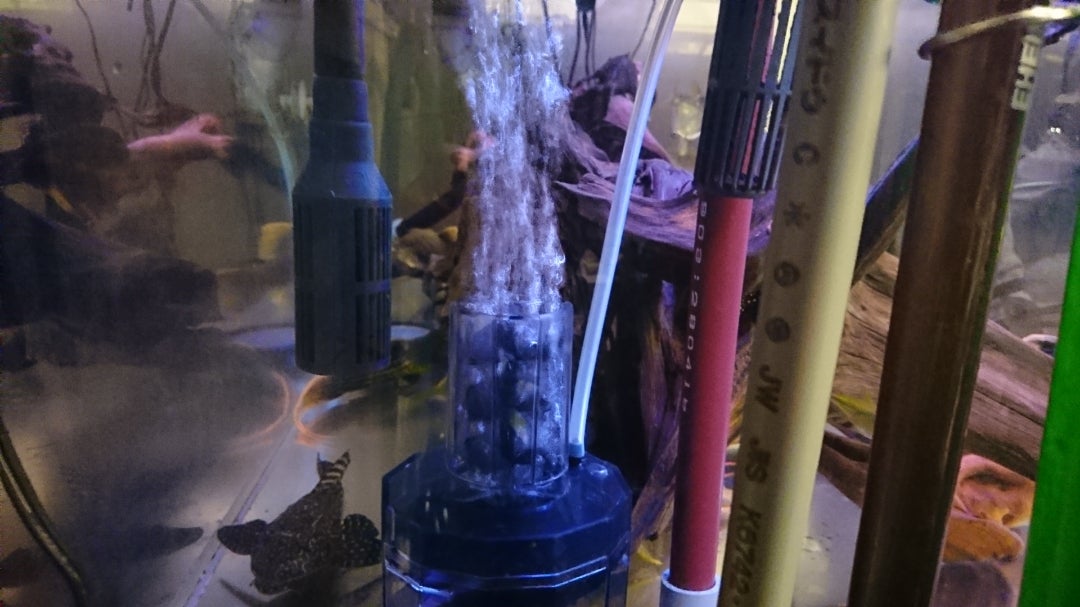 フィッシュレット改造してみた | アクアルバム フィッシュレット 改造品