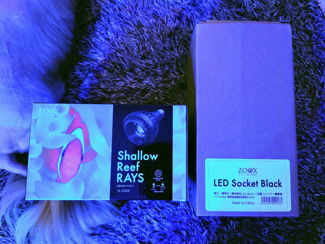 ZOOX LED RAYS Shallow Reef