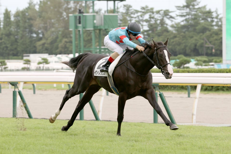 東スポ杯2歳S イクイノックス | 毎日が一口馬主！