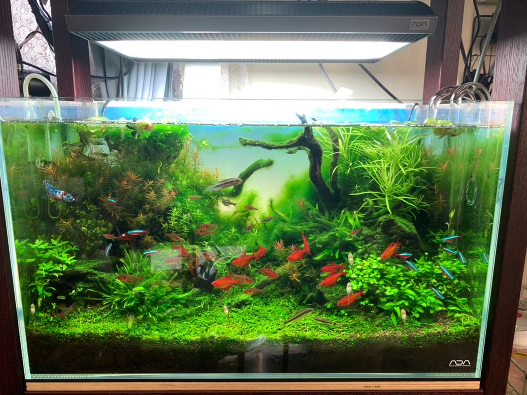 ADA アクアスカイG451 ADA アクアスカイG 451 ADA AquaSky G 451 LED