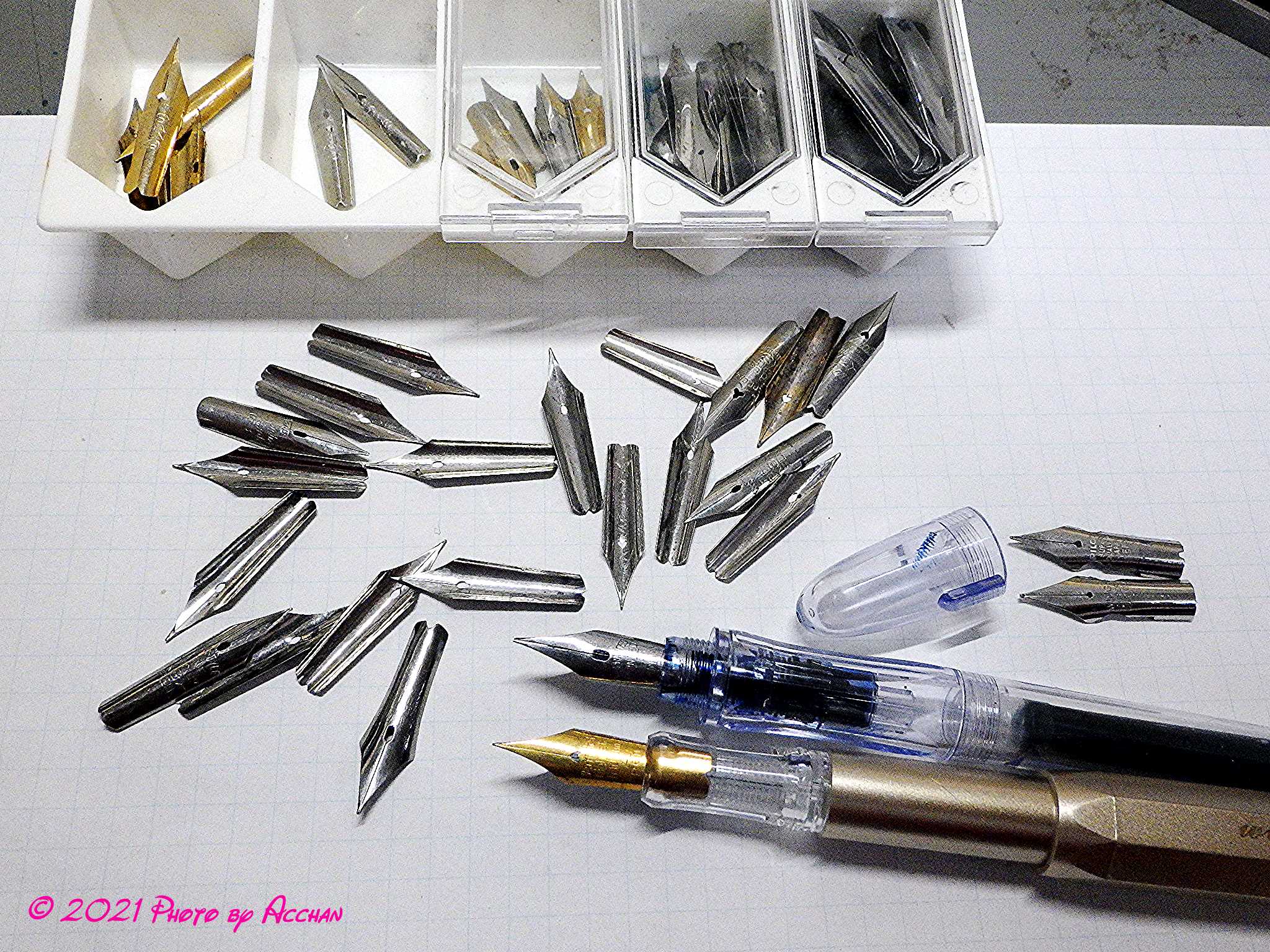 Kaweco パチモンとPILOTペン習字ペン I Love Steel Nibs♪ 鉄ニブ万歳