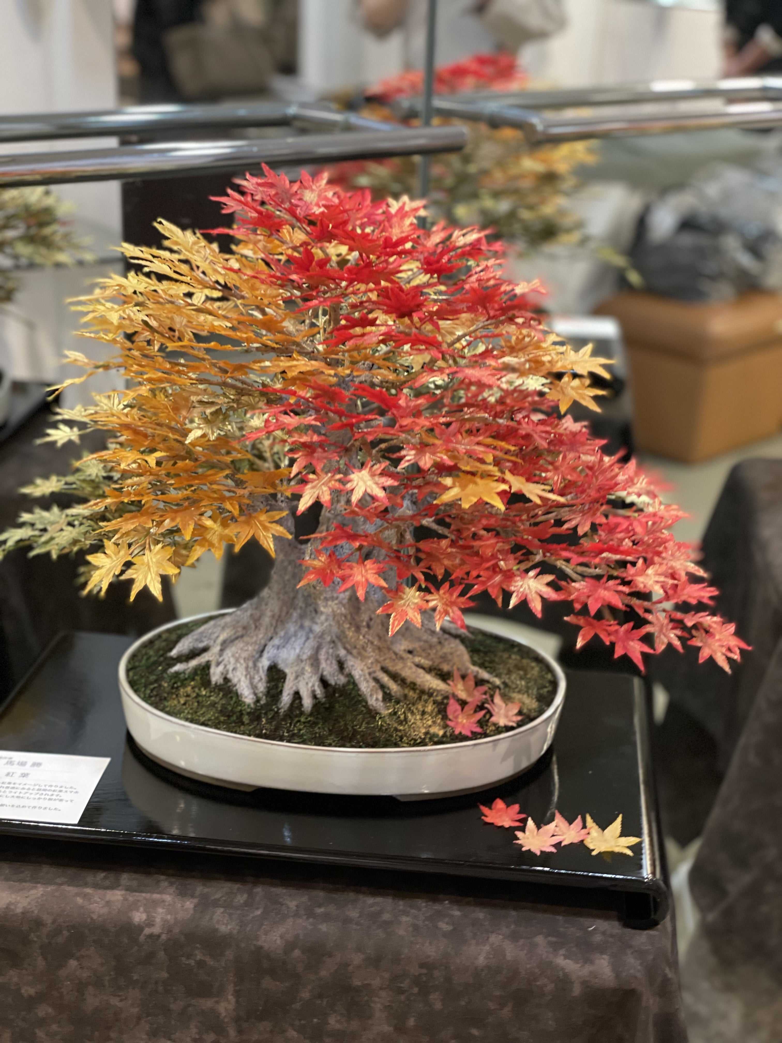 盆栽作品展スタート（アーティフィシャル／bonsai） | 本物そっくり