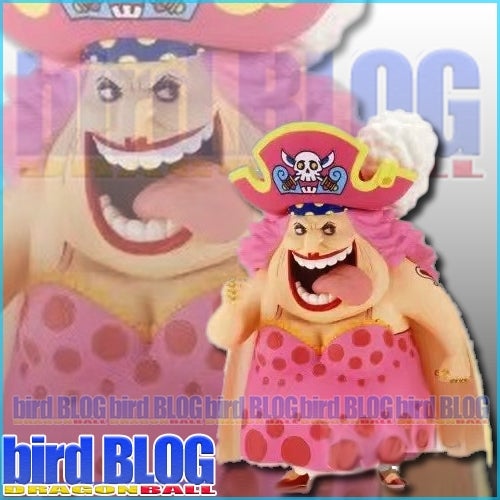 ワンピース ワールドコレクタブルフィギュア 大海賊百景 vol.9 | bird