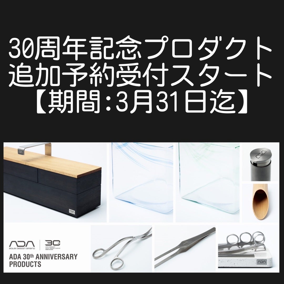 ADA マスターツールボックス HAKO 30周年 限定 【公式通販】