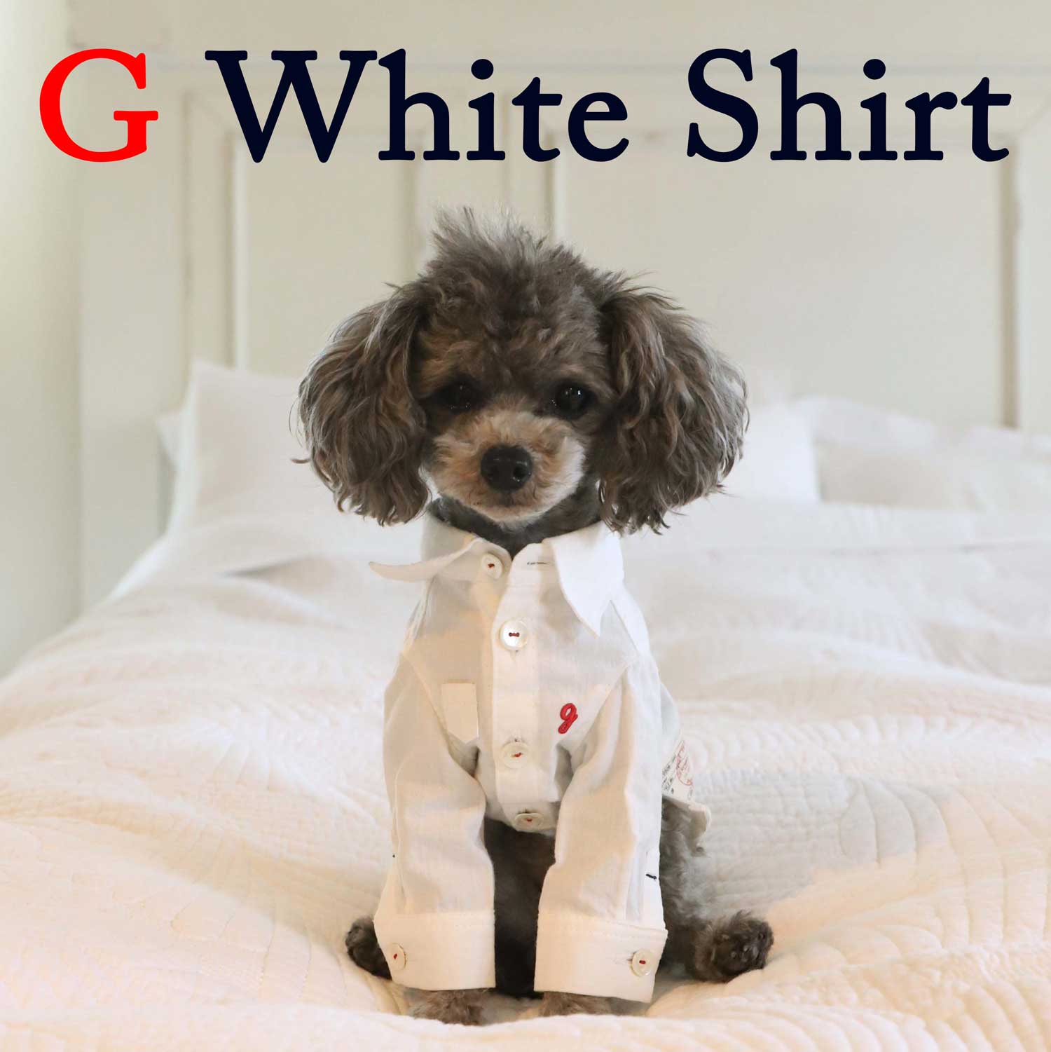 アトリエgg アトリエgg シャツ（18） アトリエgg シャツ 【公式通販】