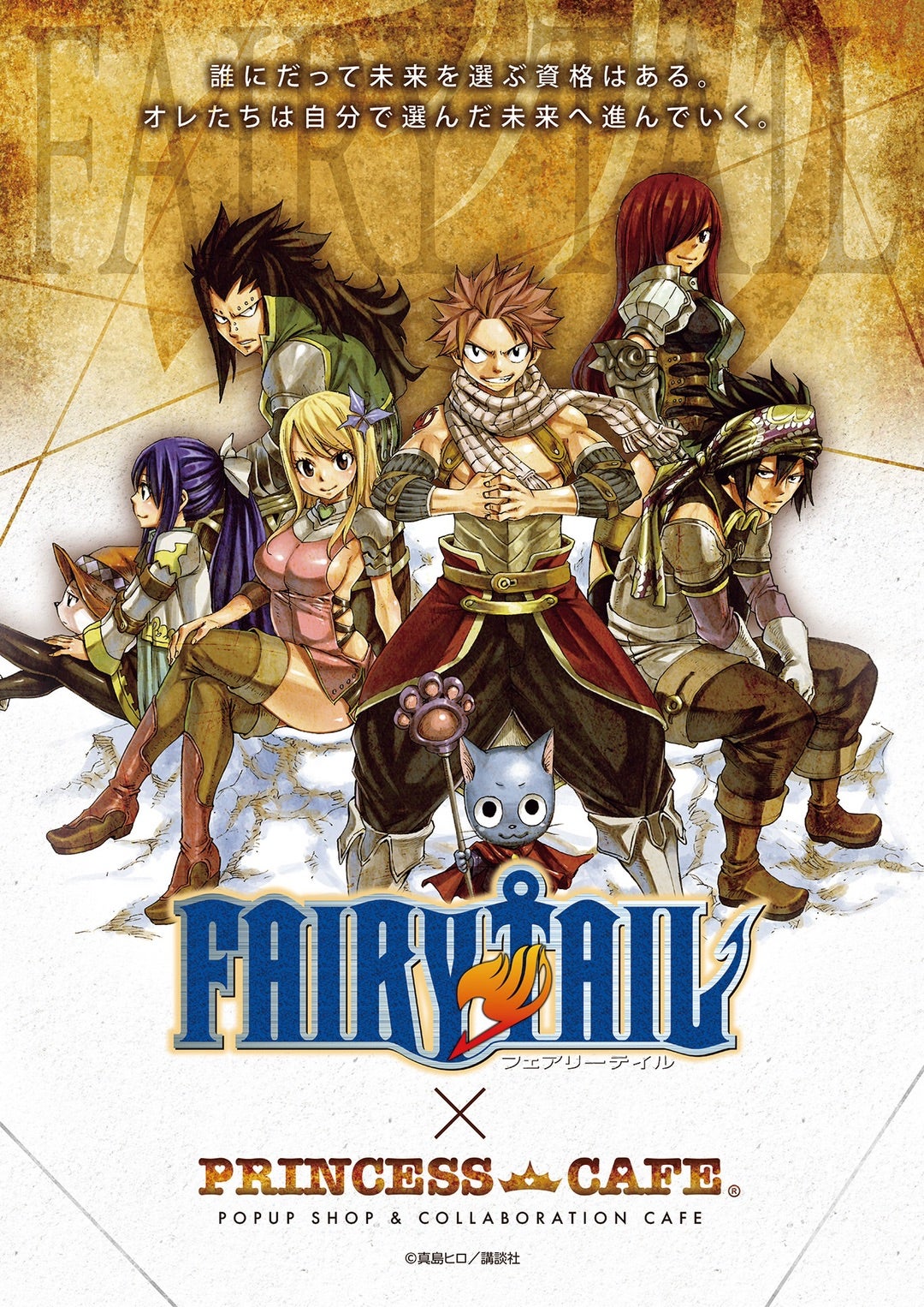 FAIRY TAIL フェアリーテイル 非売品 書店用POP ポスター FAIRY TAIL