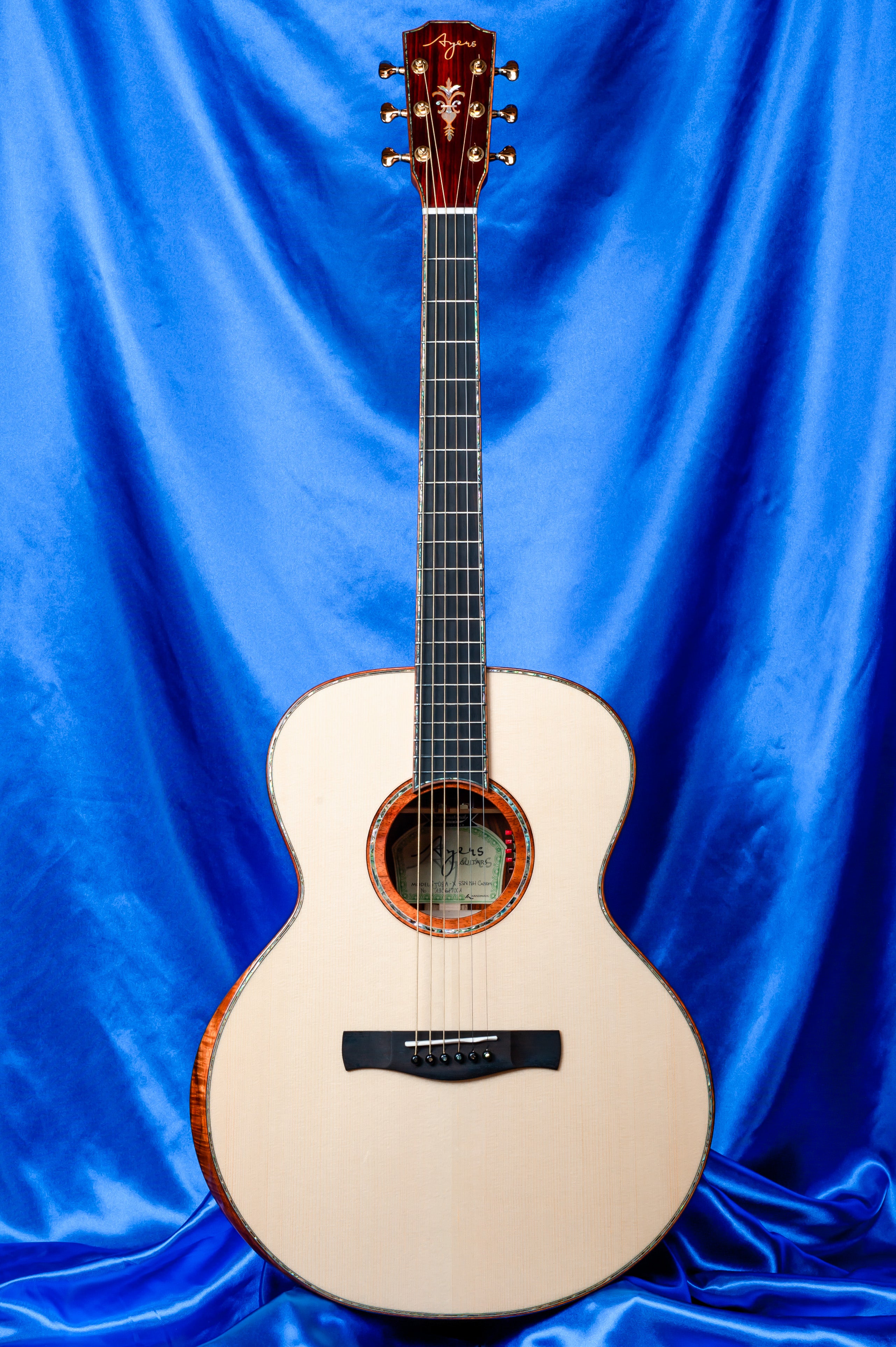 圧倒的な杢目のココボロのギター【過去シリーズ】 | ギターマニアの兄