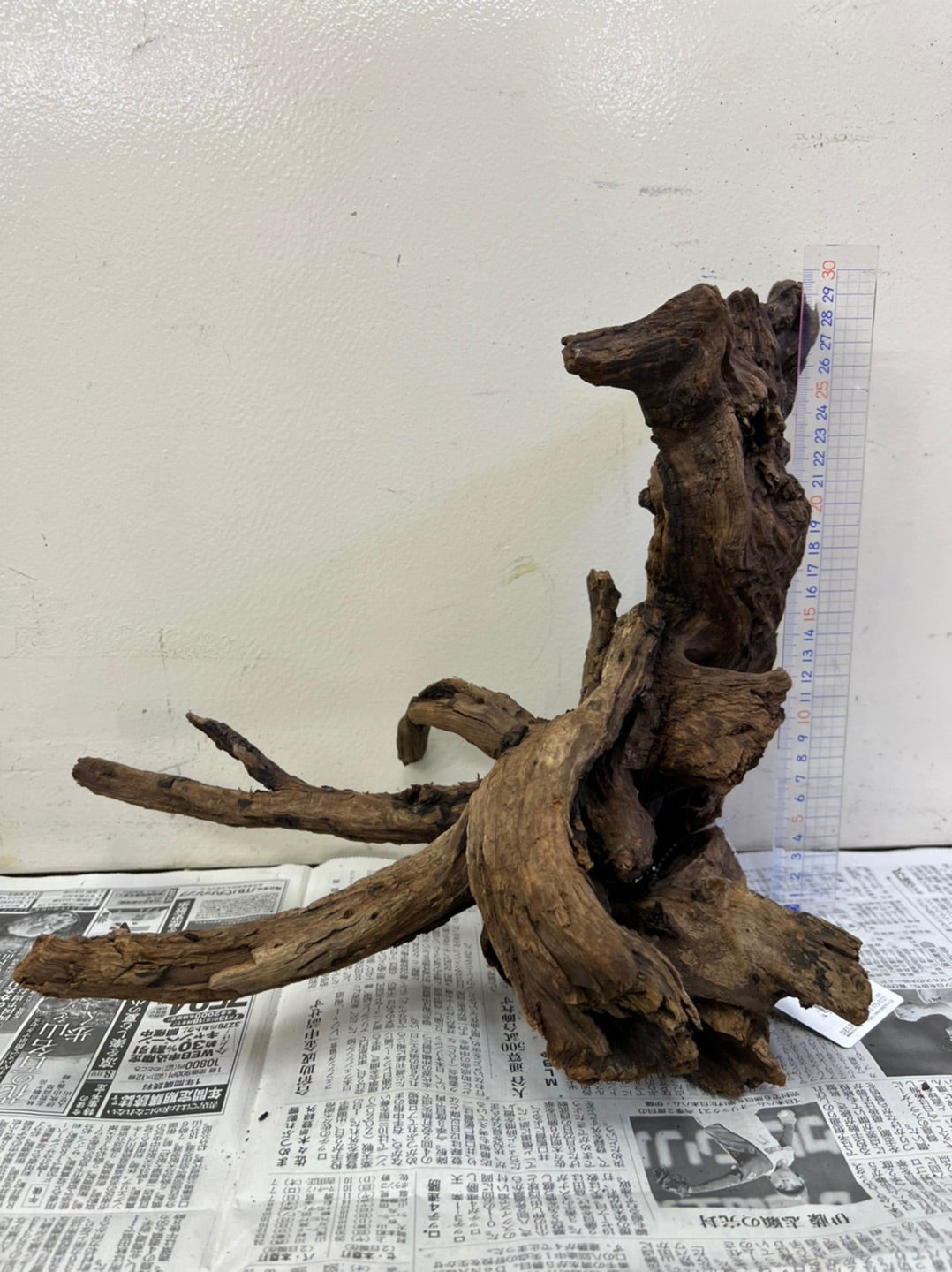 n1アク抜き済み流木 爬虫類シェルター テラリウム インテリア エア