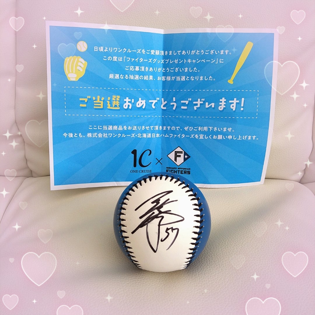 北海道日本ハムファイターズ 直筆サインボール 10個セット 北山 稲葉