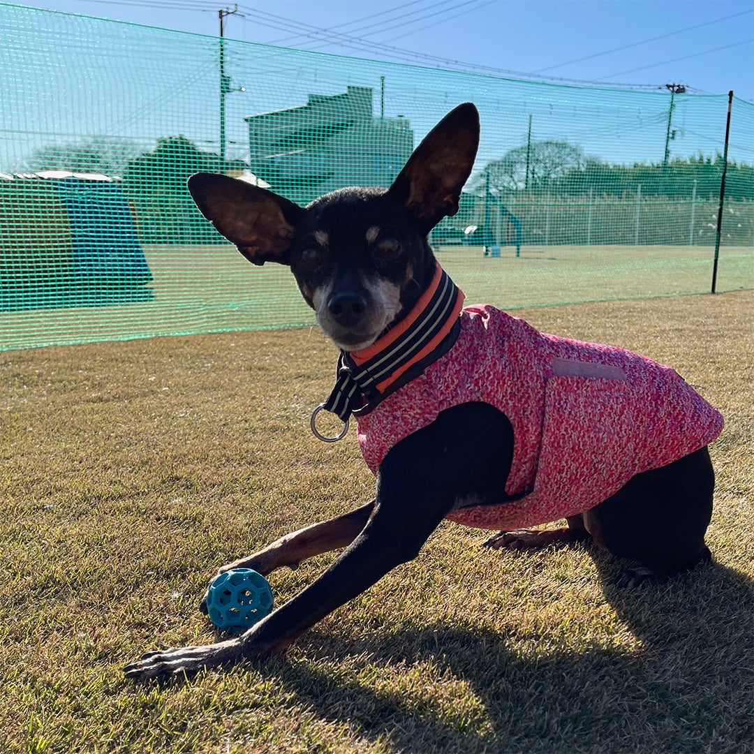 ALPHAICON AIR LINER エアライナー 11_f91be10e-f06b-4aea-8992-