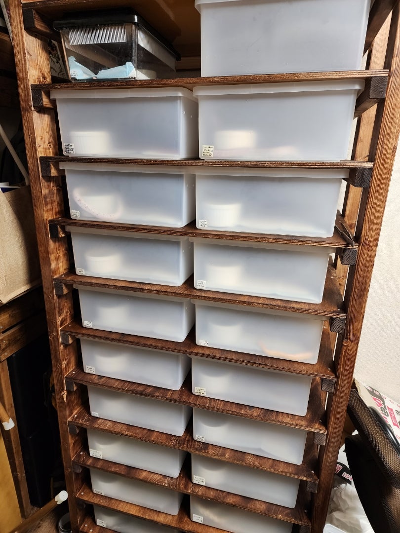 販売 爬虫類 自作スネークラック スネークラック 自作 爬虫類 自作