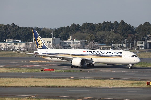 鳥や羽がマークに描かれたエアライン！2023年3月以降の撮影