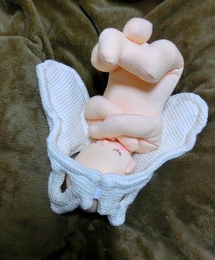 実物大・簡易ながらもリアルに再現 骨盤模型と胎児人形セット