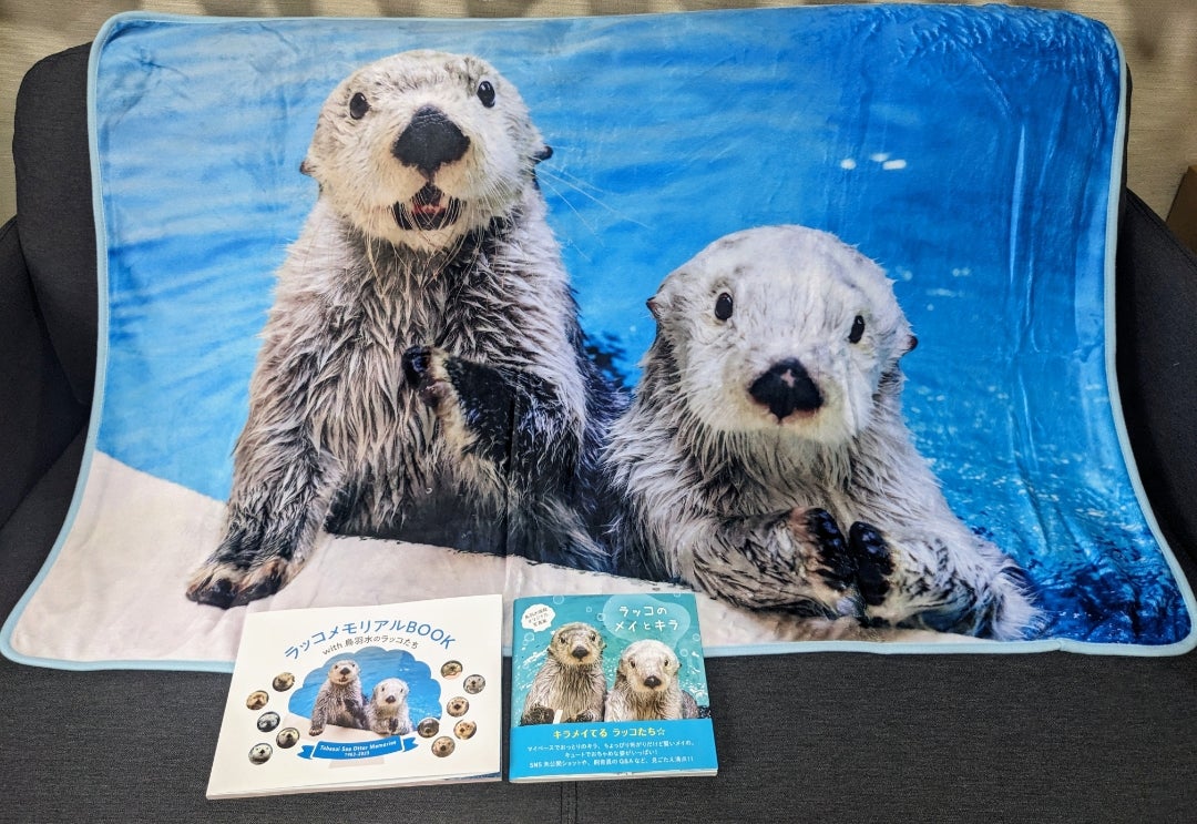 ラッコのキラちゃん トレカ2枚セット（レア、ノーマル） ラッコのキラ