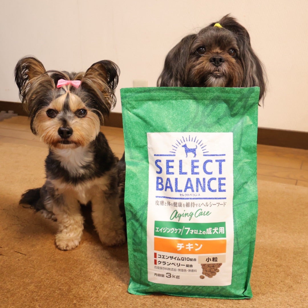 Amazon | ベッツチョイス セレクトバランス エイジングケア チキン