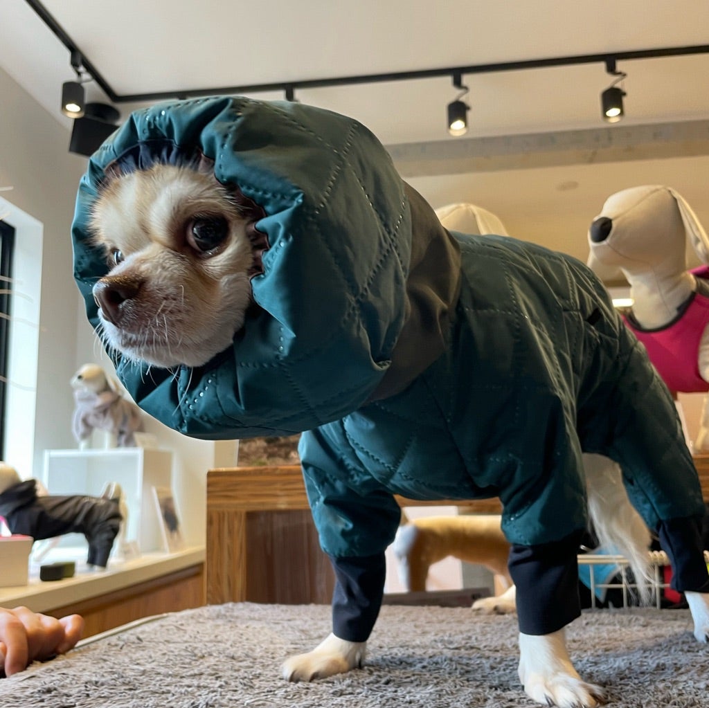 ALPHAICON】アルファイコン スノードッグガード 3Lサイズ 【公式通販】