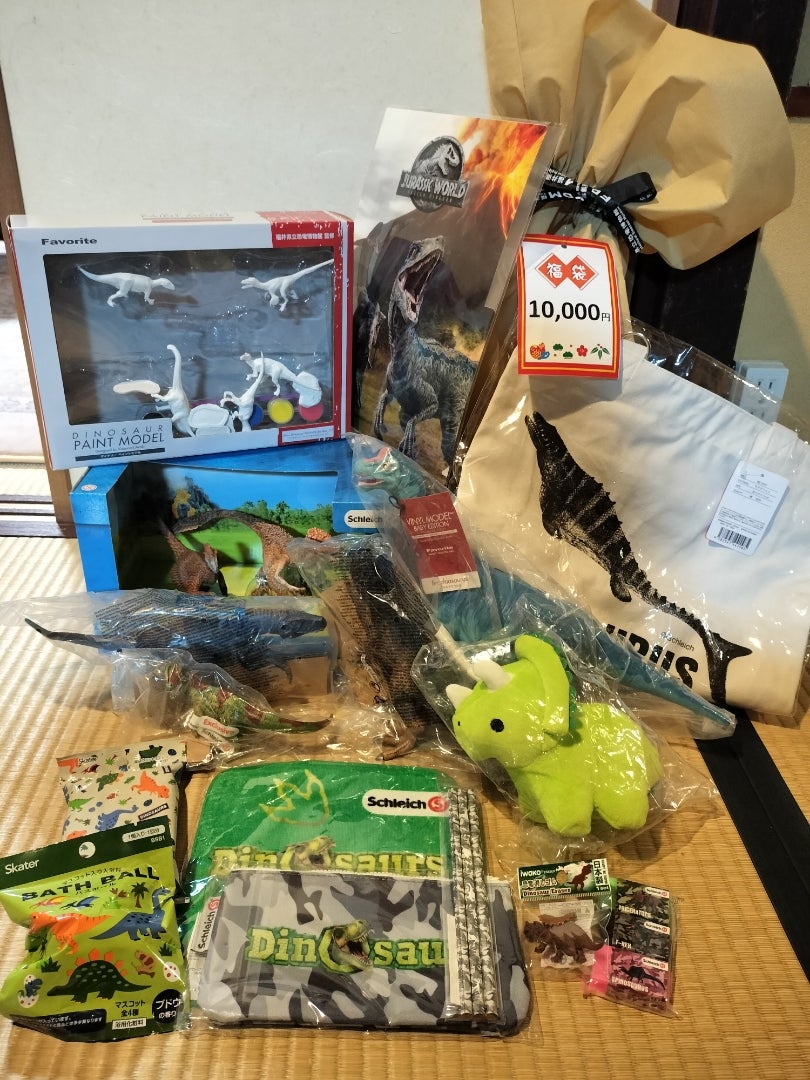 旅行記】石川県の実家へ帰省⑦福井恐竜博物館の福袋 | marriott-hilton